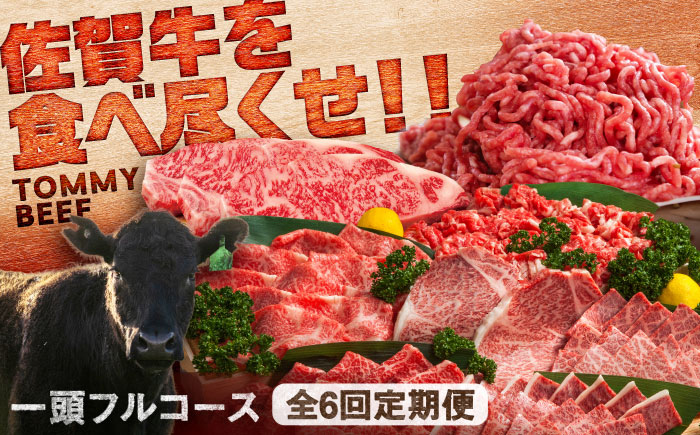 【全6回定期便】佐賀牛一頭フルコース定期便 / 牛肉 / 佐賀県 / 有限会社佐賀セントラル牧場 [41ASAA309]
