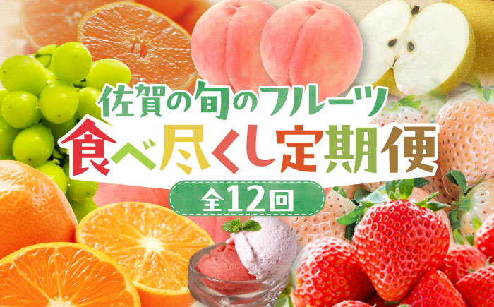 【全12回定期便】佐賀県の生産者を応援！佐賀の旬フルーツ食べ尽くし定期便 / 梨 シャインマスカット 桃 みかん / 佐賀県ふるさと納税 [41AAZZ013]