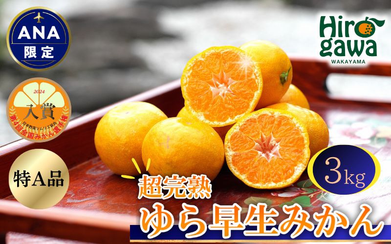 【ANA限定】希少品種 特A級 超完熟 ゆら早生みかん 3kg　【tkn004-p-3-ana】
