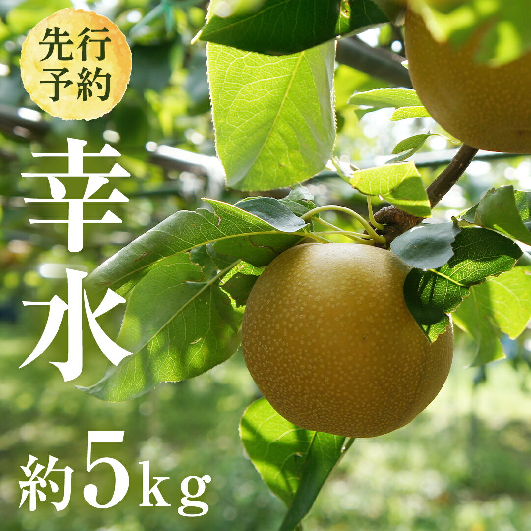 【ふるさと納税】【 2026年8月上旬発送開始 】 茨城県産 梨 幸水 （約 5kg ） 10～14玉 梨 なし 和梨 日本梨 果物 フルーツ 新鮮 旬 期間限定 国産 先行予約