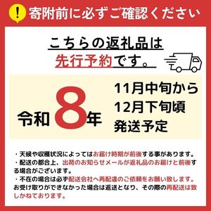【先行予約】信州産 サンふじ約5kg（14～20玉）《2026年11月中旬頃から発送》