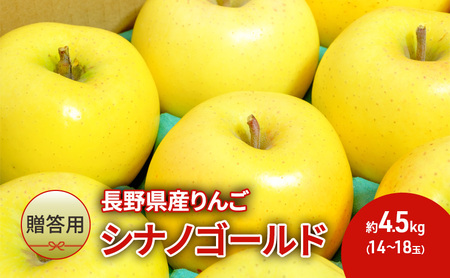 りんご 先行予約 長野 贈答用 リンゴ シナノゴールド 約4.5kg（14玉～18玉） 産地直送 ギフト プレゼント 贈答 贈答品 贈り物 フルーツ 果物 デザート おやつ 秋 旬 信州 長野県 2024 2024年 予約 令和6年度発送