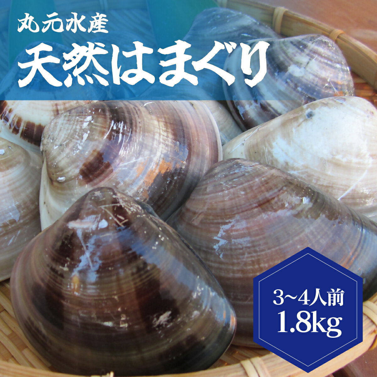【ふるさと納税】 丸元水産　桑名産蛤(ハマグリ)1.8kg_はまぐり　魚介　貝