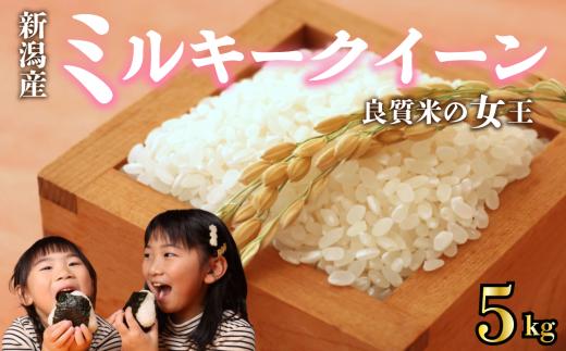 【先行予約】 令和7年産 ミルキークイーン 5kg ご飯 備蓄 コシヒカリ こしひかり 突然変異種 コメ お米 米 こめ しんまい 新潟産 新潟米 新潟県 新潟 新発田 新発田市 国産 新発田市産 斗伸 toushin015_02