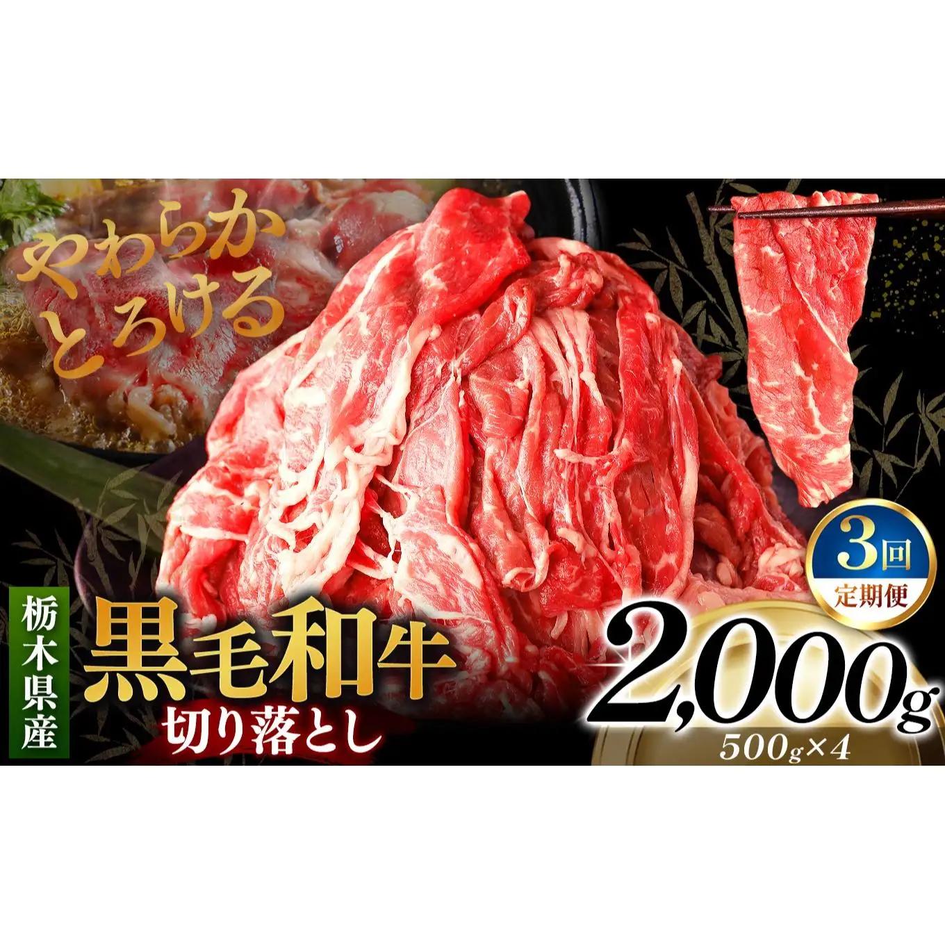[定期便3回]栃木県産黒毛和牛切り落とし 2000g｜数量限定 黒毛 和牛 牛肉 国産牛 国産 ブランド牛 お肉 切り落とし サシ 霜降り 甘い ステーキ すき焼き しゃぶしゃぶ 焼肉 切落し 上品 アレンジ 美味しい 料理 主婦 とちぎ  栃木県 矢板市