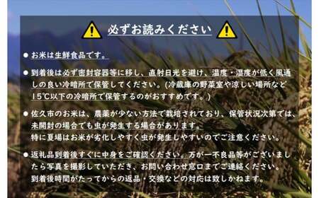 【令和7年産・白米３kg】佐久市産こしひかり（北海道・沖縄・離島は配送不可）信州　長野県　精米　新米【 米 コメ 白米 精米 お米 こめ おこめ 備蓄品 おすそ分け 備蓄米 コシヒカリ こしひかり 長