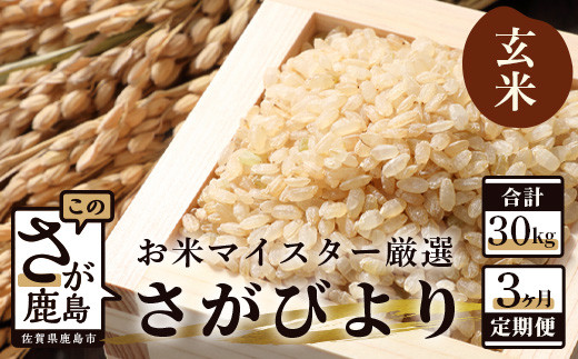 【11月より発送開始】定期便 3ヶ月 佐賀県産 さがびより 玄米 10kg《3ヶ月連続 毎月お届け》F-16 3回