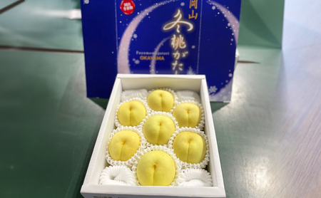 桃 2026年 先行予約 冬桃がたり 6～9玉（約1.2kg）化粧箱入り 岡山県産 桃