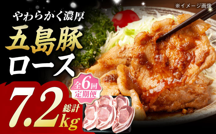 
            【全6回定期便】五島豚 極厚 ロース 7.2kg (200g×6枚×6回) 豚肉 肉 五島市/肉のマルヒサ [PCV027]
          