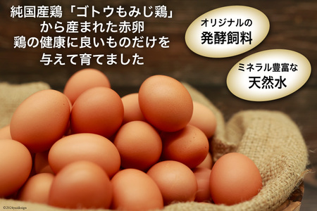 BI025 雲仙たまごLサイズ  80個 (10個入り×8パック)(75個＋割れ補償5個入り) [長崎県 島原市]