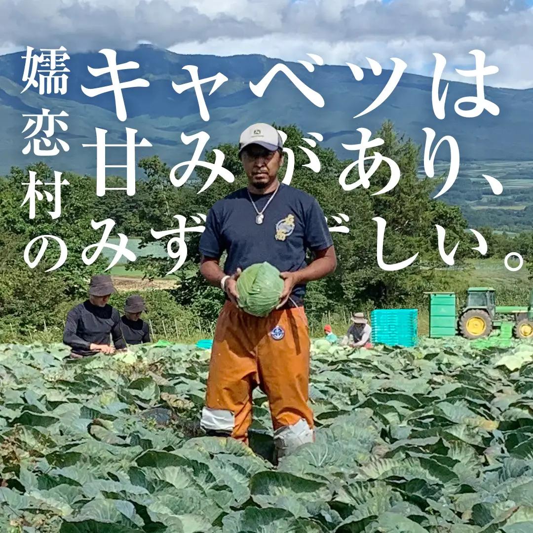 【ふるなびWEEK対象】＜レビューキャンペーン開催中＞【7月中旬発送開始】 嬬恋キャベツ 嬬恋産 高原キャベツ3玉1ケース [AS010tu]