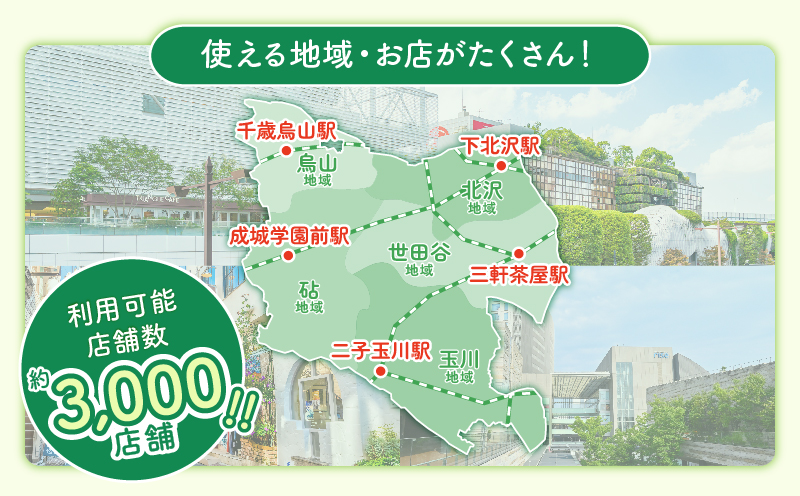 世田谷区 地域限定通貨「せたがやPay」 ふるさとポイント60,000pt（1pt＝1円）
