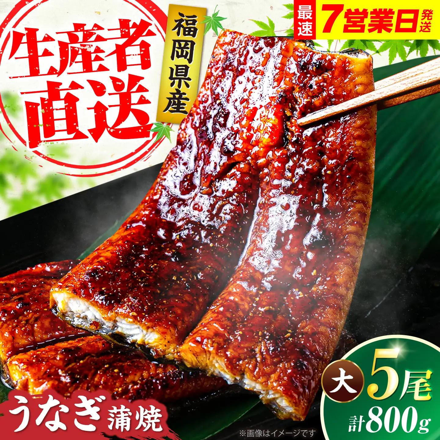 うなぎ 蒲焼大5尾 ウナギ 国産 VAD004