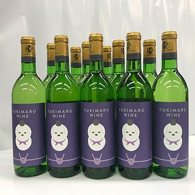 ふるさと納税 王寺町 達磨寺辛口白ワイン720ml×12本