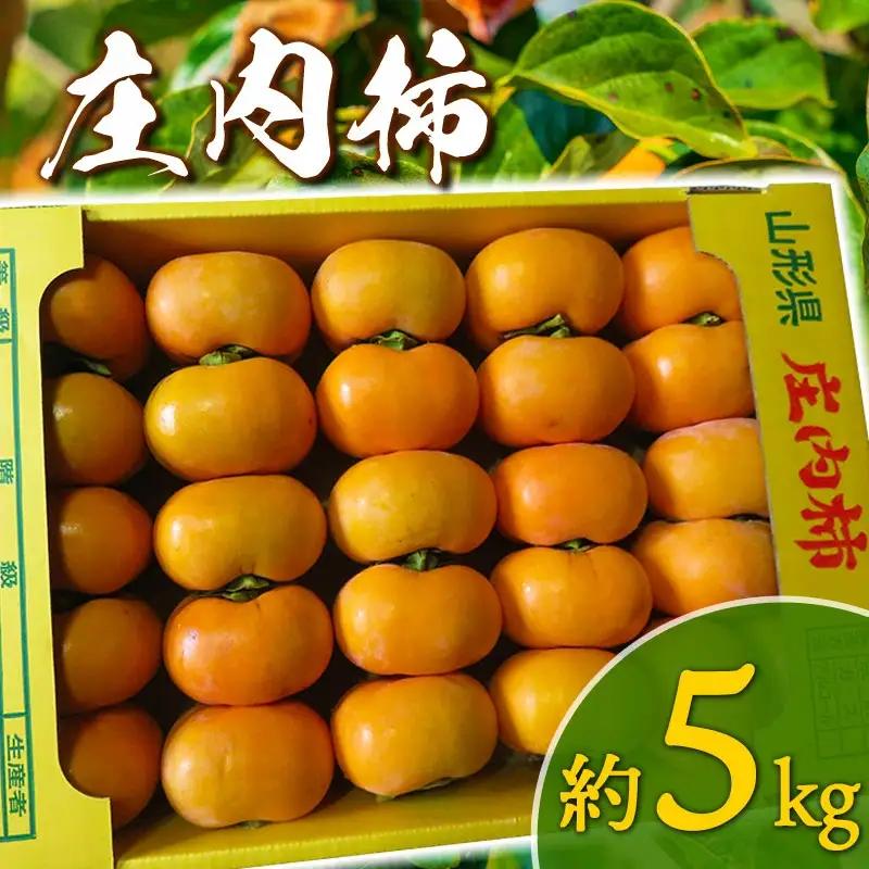【令和8年産先行予約】庄内柿 Mサイズ以上 5kg マルイチ農園