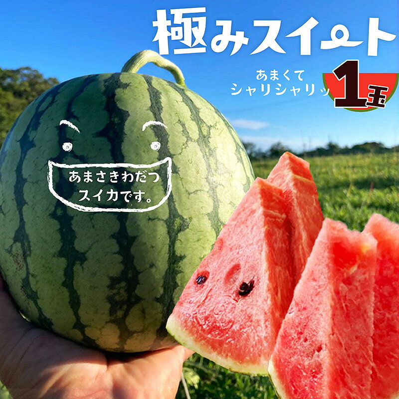 【ふるさと納税】【先行予約】京丹後・俵野産 小玉スイカ 極みスイート 1玉（2027年7月中旬～発送）西瓜 すいか 極みスイート 果物 フルーツ 小玉 野菜 ふるさと納税 先行予約 果物 ふるさと 納税 先行予約 ふるさと納税 フルーツ
