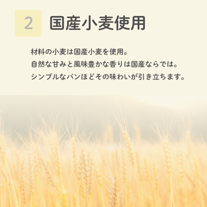 【芳醇な香り】 ライ麦 パン 10個 冷凍  ライ麦パン