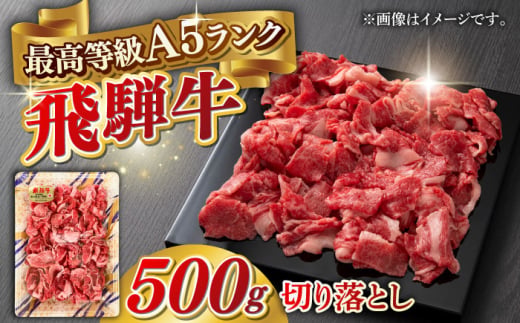 【1月発送】A5等級 飛騨牛 切り落とし 500g ブランド牛 最高級 A5ランク 岐阜市 / 三心 [ANGY011-1]