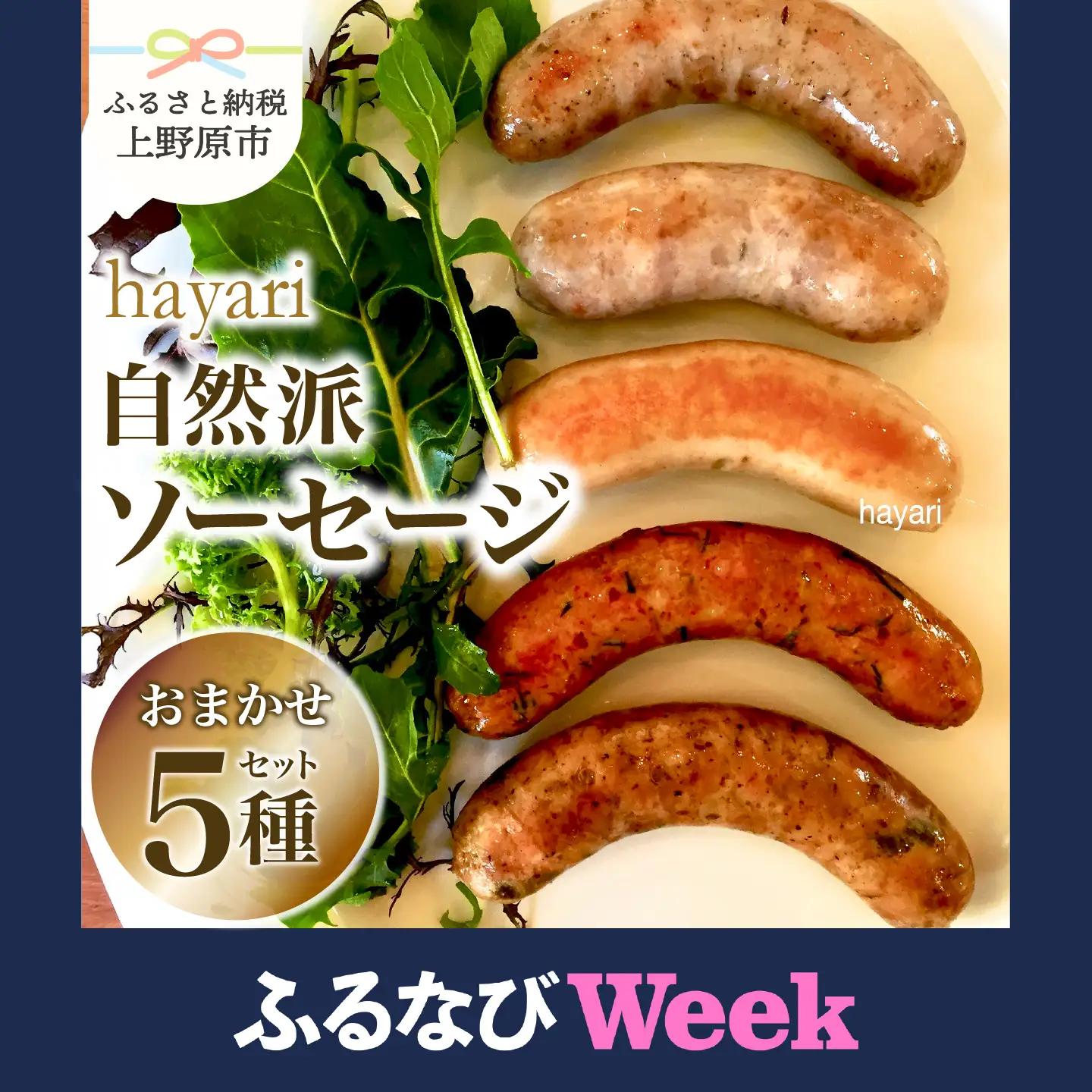 【ふるなびWEEK対象】hayariの自然派ソーセージおまかせ５種セット ソーセージ 食べ比べ