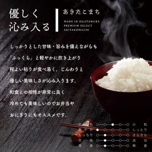 〈新米先行受付〉【令和6年産】秋田県産 あきたこまち 玄米 30kg【配送不可地域：離島・沖縄県】【1519384】