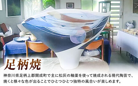【陶芸】足柄焼陶芸体験 ペア [BDAQ001]