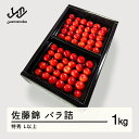 【ふるさと納税】 《先行予約》2025年 山形県産 さくらんぼ 佐藤錦 バラ詰1kg 特秀 L以上 F20A-899 ※沖縄・離島への配送不可