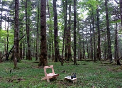 0065-18-02 木製アウトドアチェア 1台【名入れ可】 組立完成品 無塗装
