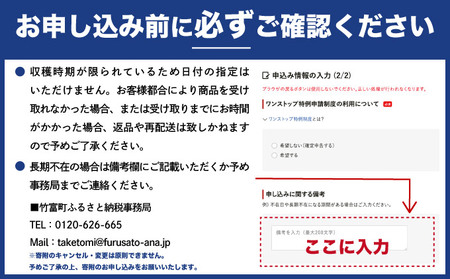 【2024年発送】リピータ続出！西表パイン園の蜜入り ピーチパイン4kgセット