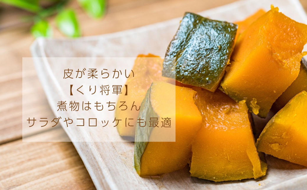 【先行受付】山梨県 中央市産 かぼちゃ【くり将軍】約4～5kg