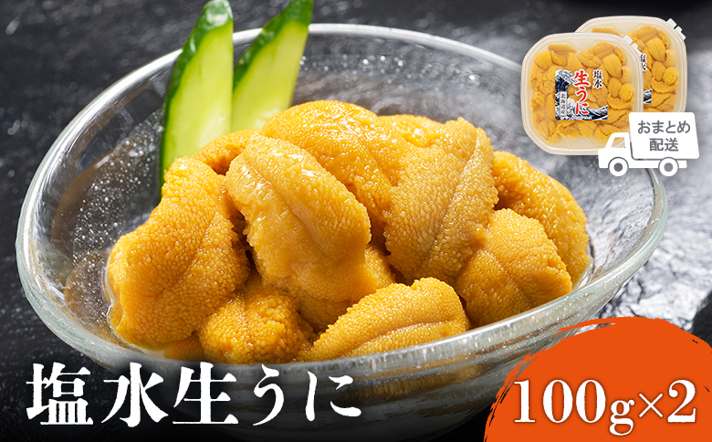 【6月上旬〜8月中旬発送予定】北海道産 塩水ウニ 100g×2 | ウニ うに 100g 2パック ミョウバン不使用 北海道 人気 旬 新鮮 羽幌町 羽幌 ふるさと納税【0211802】