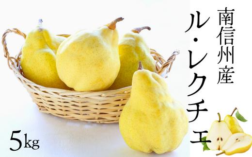 JA19 洋梨 ル・レクチェ  約5kg （段ボール箱入）／2026年11月上旬～12月上旬ごろ配送// 贈答 ギフト 長野県 南信州 洋梨 ルレクチェ レクチェ 洋ナシ 大玉 高糖度