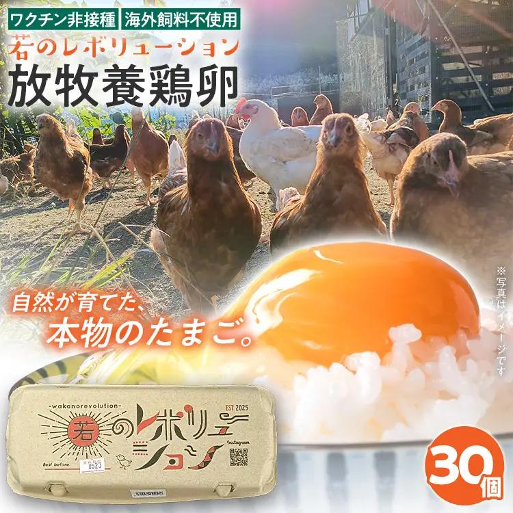 卵 放牧養鶏卵 30個 「破損補償2個含」 若のレボリューション 卵 ※北海道・沖縄・離島は配送不可