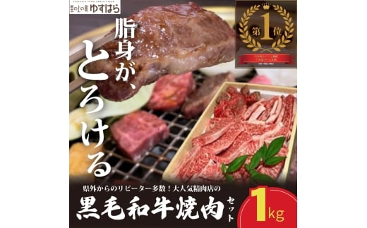 低温でも脂身がとろける梼原町産黒毛和牛 丸かじり焼肉セット（500g）【GA01】牛肉 焼肉 焼き肉 やきにく 国産 高知県産 冷凍便