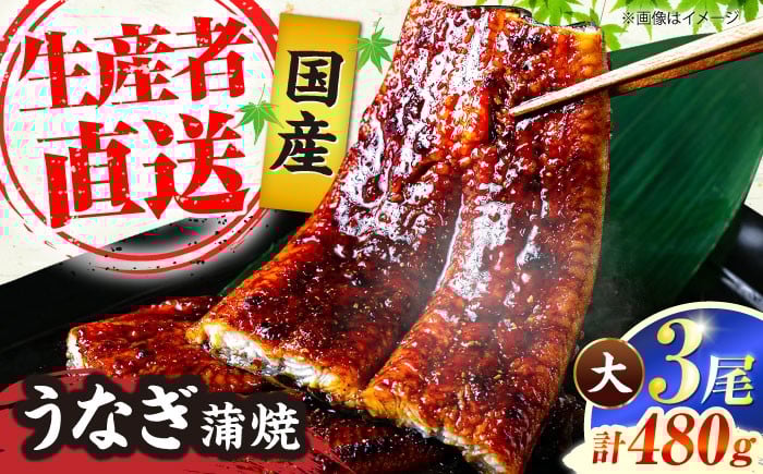 
                  国産 うなぎ 蒲焼 大3尾 合計 480g（1尾あたり 160g以上）《豊前市》【福岡養鰻】 国産 うなぎ 鰻 ウナギ 蒲焼 うなぎ 蒲焼き うなぎ 冷凍 鰻 うなぎ ウナギ 鰻 人気 ウナギ うなぎ おすすめ ランキング うなぎ おいしい unagi うなぎ かばやき うなぎ 高級  贅沢 うなぎ ウナギ 鰻 ひつまぶし うなぎ ウナギ 鰻 九州 [VAD003]
                