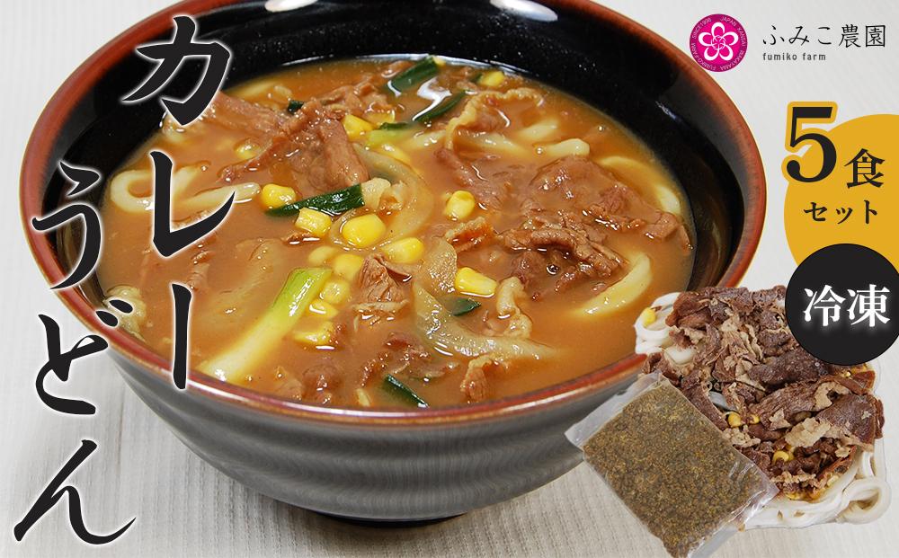 冷凍　カレーうどん５食 T155