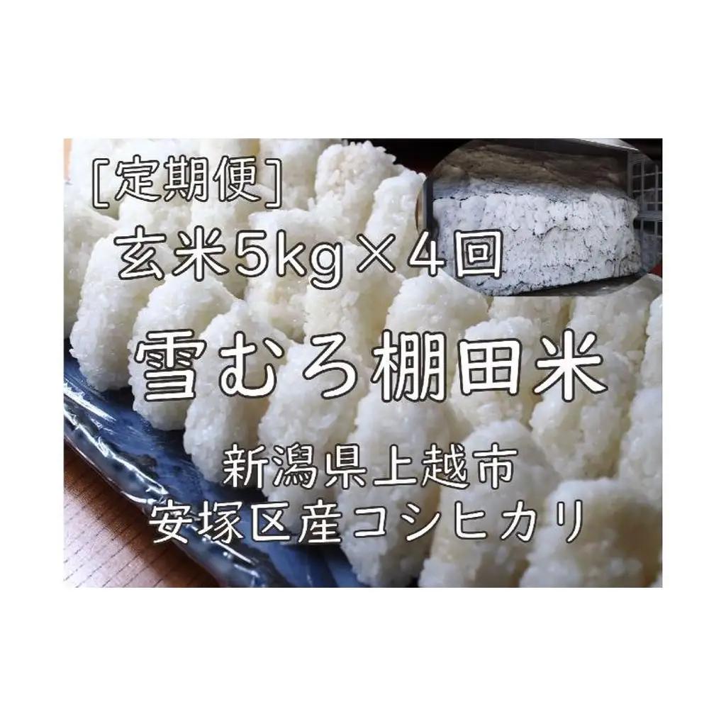 棚田米 コシヒカリ 玄米 コシヒカリ 5kg 毎月4回【定期便】
