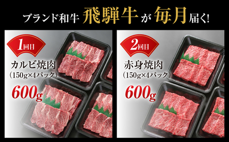 【定期便】飛騨牛 全5回 計3kg  飛騨高山ミート 定期便 [MZ100]