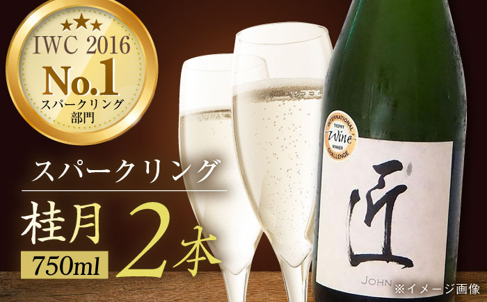 
            土佐酒造 桂月 スパークリング酒 匠 (ジョン) 750ml 2本 【近藤酒店】 [ATAB074]
          