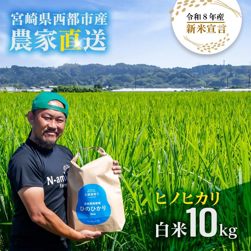 【ふるさと納税】『令和8年産 新米 先行予約』ヒノヒカリ 10kg　※10月下旬以降順次発送予定　精米済み 先行予約＜57-4a＞
