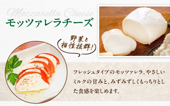 チーズ モッツアレラチーズ 愛媛県 伝統製法 おつまみ 乳製品 モッツァレラチーズ モッツァレラ フレッシュチーズ カプレーゼ