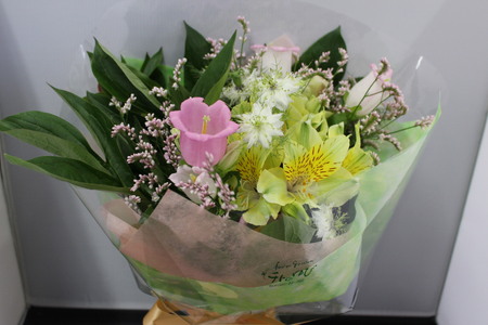 お花（生花）の6回定期便 花 定期便 生花 お花 鳥取県 倉吉市