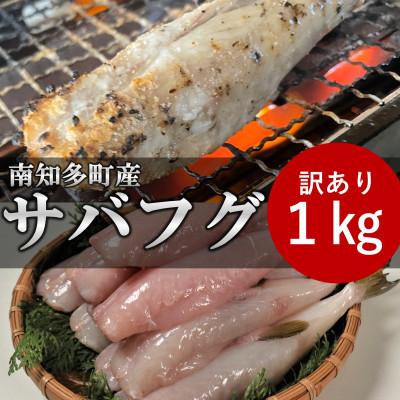 ふるさと納税 南知多町 訳あり サバフグ 1kg　鍋 唐揚げ用