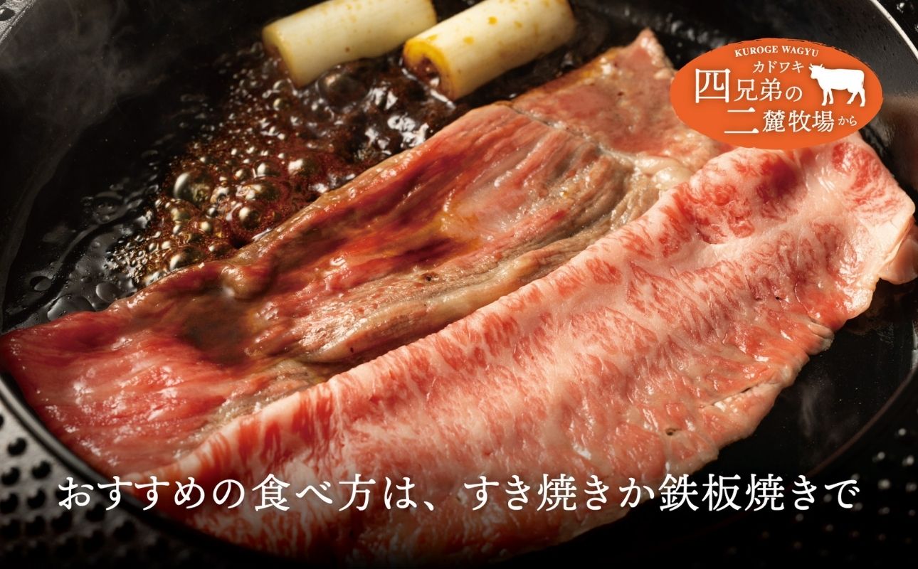 A4･A5「二麓（にろく）霜降り」黒毛和牛（大判）ローススライス 500g（250g×2） ニセコ連峰と鈴鹿山脈、二つの麓（ふもと）で育てた脂の質にこだわった美味しい霜降りをリーズナブルに│牛肉 国産