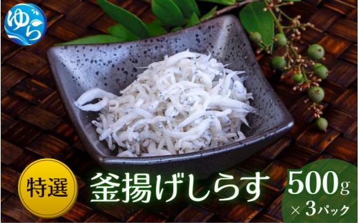 特選釜揚げしらす（500gパック入り×3つ）【uoms003】