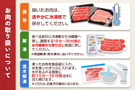 ≪肉質等級A4ランク≫宮崎牛 モモスライス 500g ※90日以内に発送【B532-24】