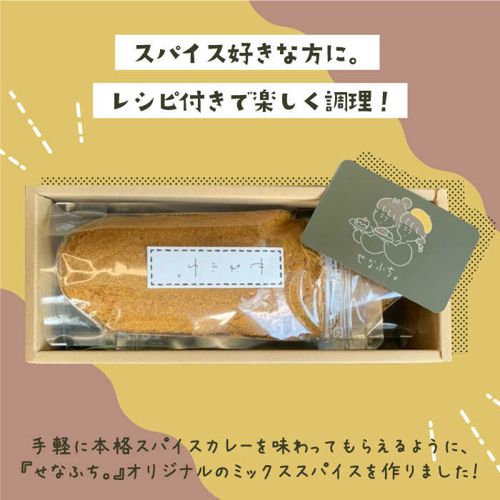 ＜人気店カレー店のスパイス＞スパイスキーマカレーの素100g （5～6人分）×3袋 せなふち。/吉野ヶ里町 [FCM007]