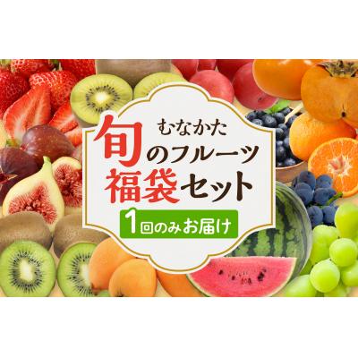 ふるさと納税 宗像市 何が届くかお楽しみ!むなかた旬のフルーツ福袋セット【JAほたるの里】_HA1541