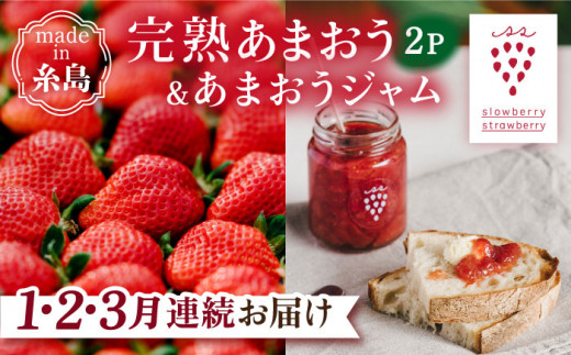 【先行受付】【全3回定期便】完熟 あまおう 270g × 2パック / あまおう ジャム 140g × 3本【2027年1月以降順次発送】   糸島市 / slowberry strawberry 苺 いちご [APJ005]