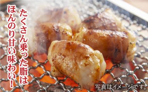 プリプリで味わい深い！ホルモン専門店の和牛丸腸600g（約3?4人前）【三田川ホルモン専門店】吉野ヶ里町 [FAC006]