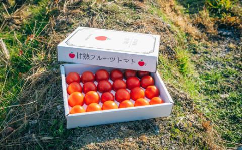 フルーツトマト 原田農園 約1,800g（大箱）